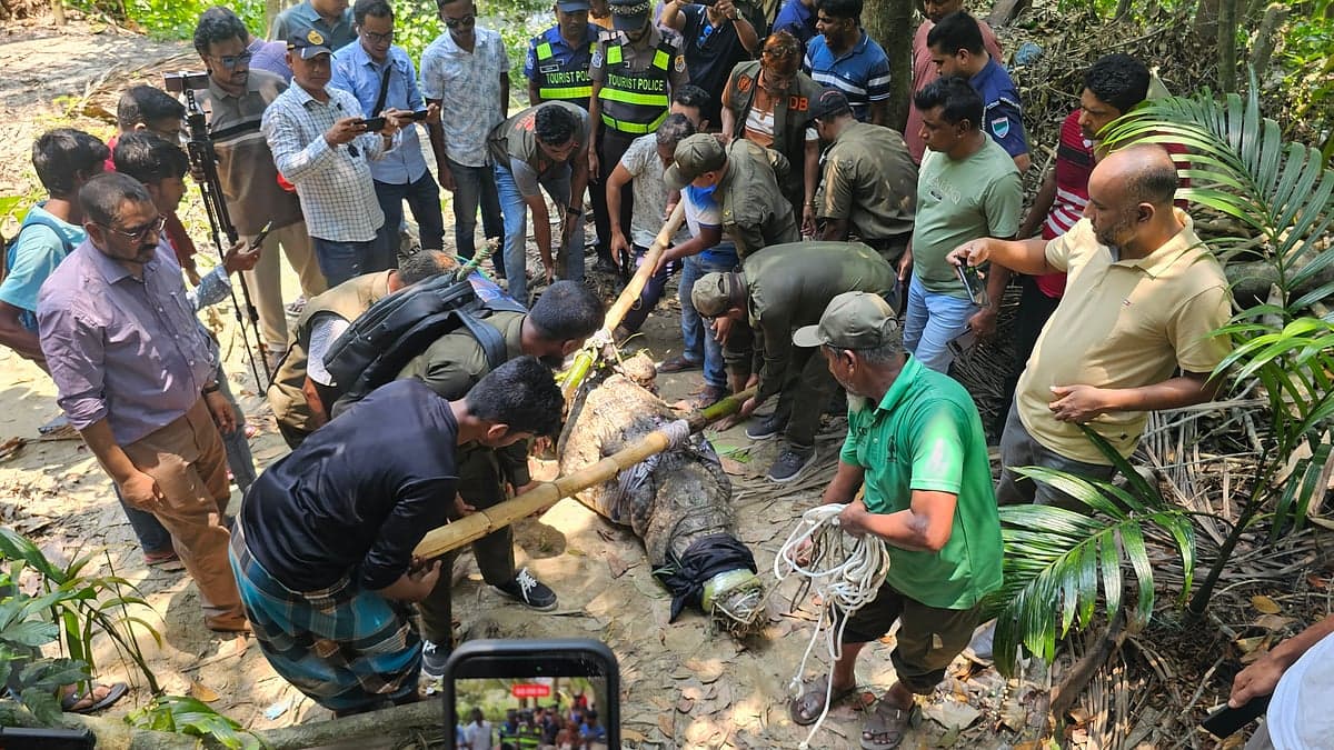 কুমির সরিয়ে নেওয়ায় খানজাহান আলী মাজারের খাদেমের ক্ষোভ, ফিরিয়ে দেওয়ার দাবি