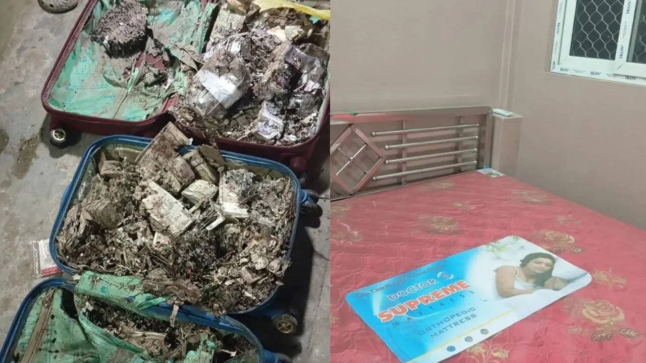 2 suitcases stashed with termite-eaten cash, firearm found in Kolkata college