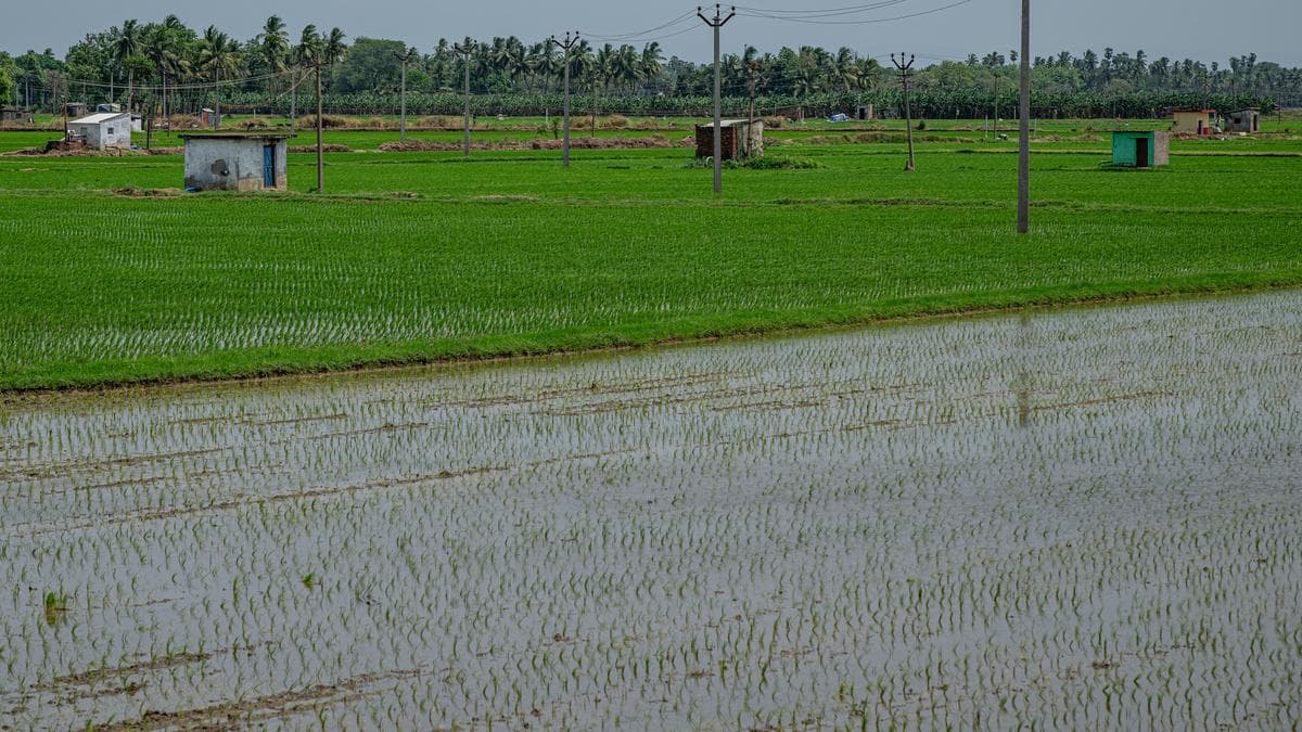 Tamil Nadu receives surplus Cauvery water for yet another year